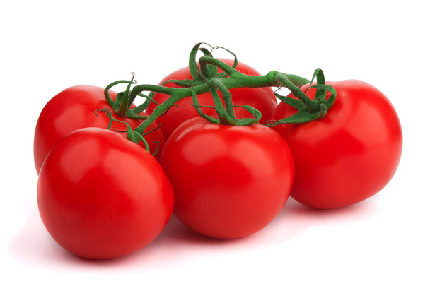 Branch of tomatoes - Fotografie, Obrázek