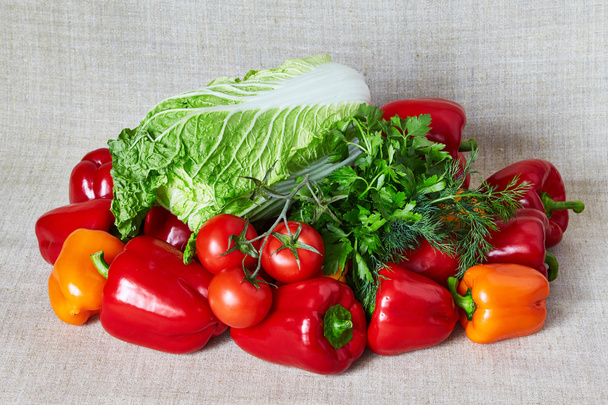 Tomato, Beijing cabbage, parsley, fennel, paprika on a gray canvas - 写真・画像