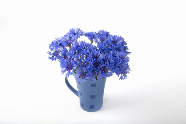 blue cornflowers on a old white wooden background - Foto, Imagen