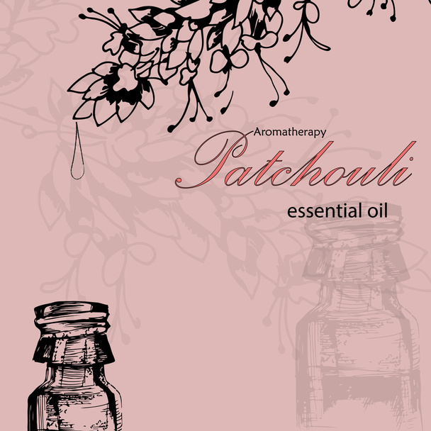 vector illustration of essential oil of patchouli - Vector, Image