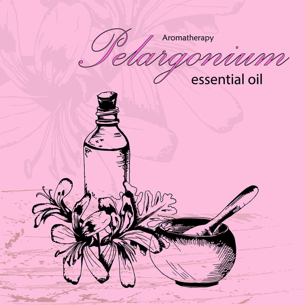 vector illustration of essential oil of pelargonium - Vetor, Imagem