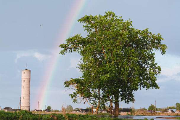 Arco iris entre la torre de ladrillo y el árbol
. - Foto, imagen