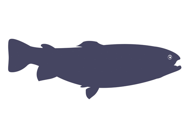 Pesce tout blu isolato su sfondo bianco. Illustrazione vettoriale
 - Vettoriali, immagini