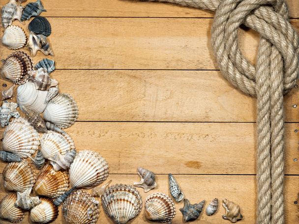 Cuerda y conchas marinas sobre fondo de madera
 - Foto, Imagen