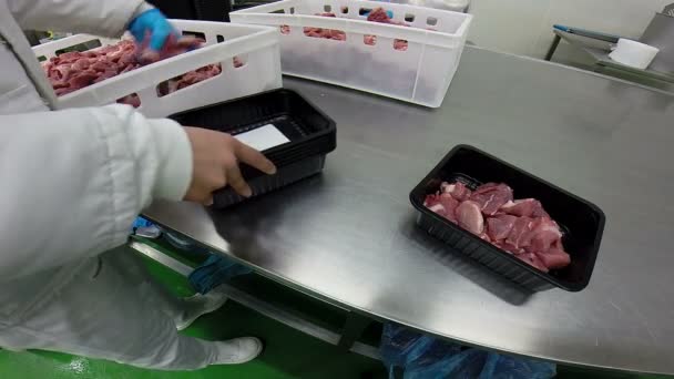 Verpakking van vers vlees segmenten in vakken - Video