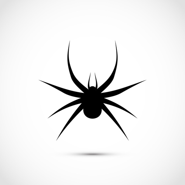 Black Spider Icon - Vector, afbeelding