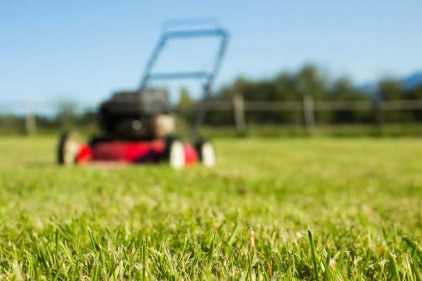 Lawn mower on grass - Valokuva, kuva