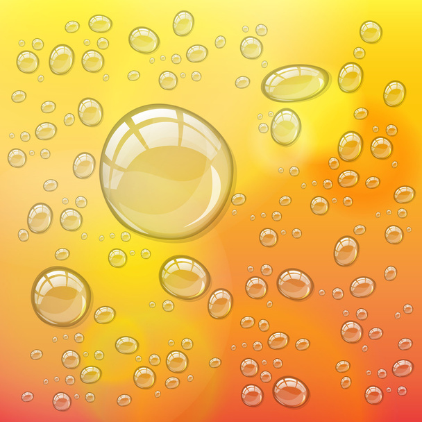 transparent water drops - Vector, Image