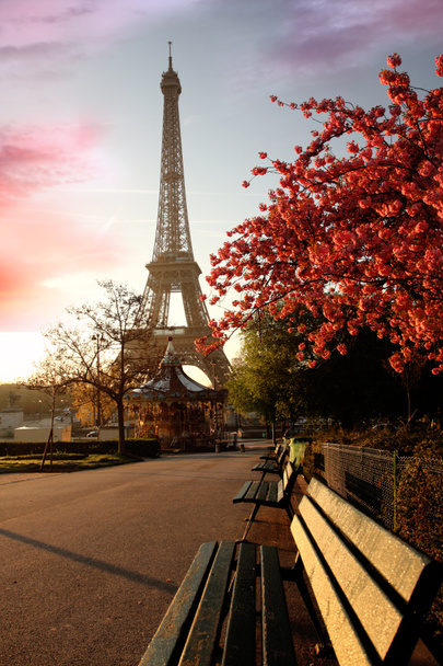 Famous Eiffel Tower with spring tree, Paris, France - Photo, Image