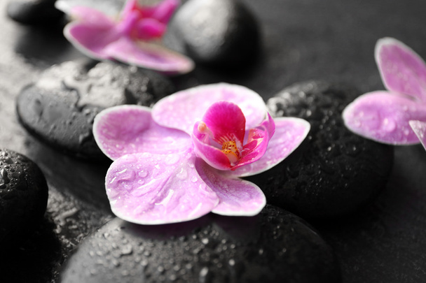 Spa stones and orchids  - Fotoğraf, Görsel