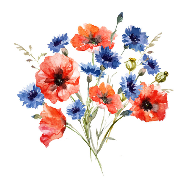 Wild flower bouquet - Vettoriali, immagini