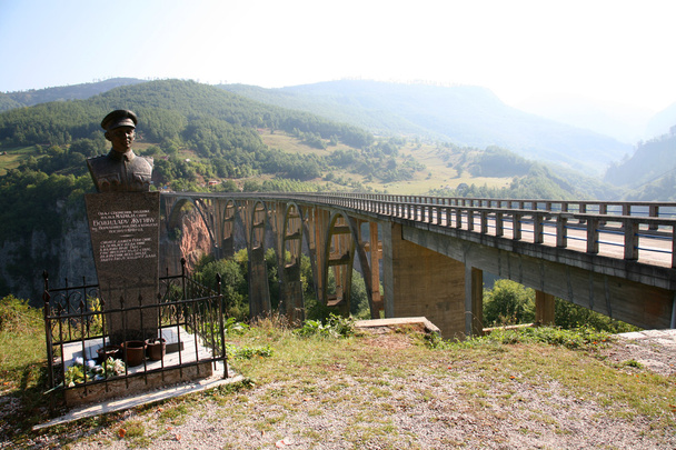 Puente de Tara
 - Foto, Imagen