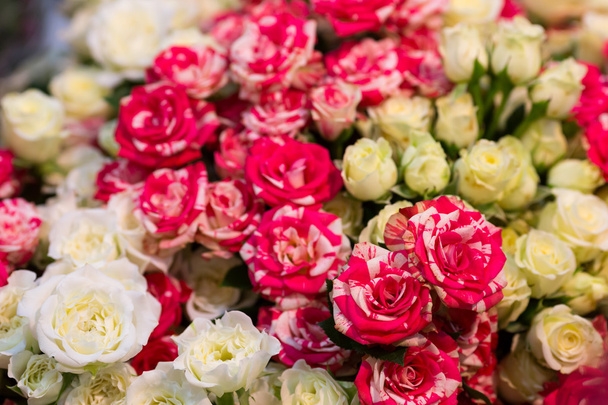 Bouquet di rose fresche
 - Foto, immagini