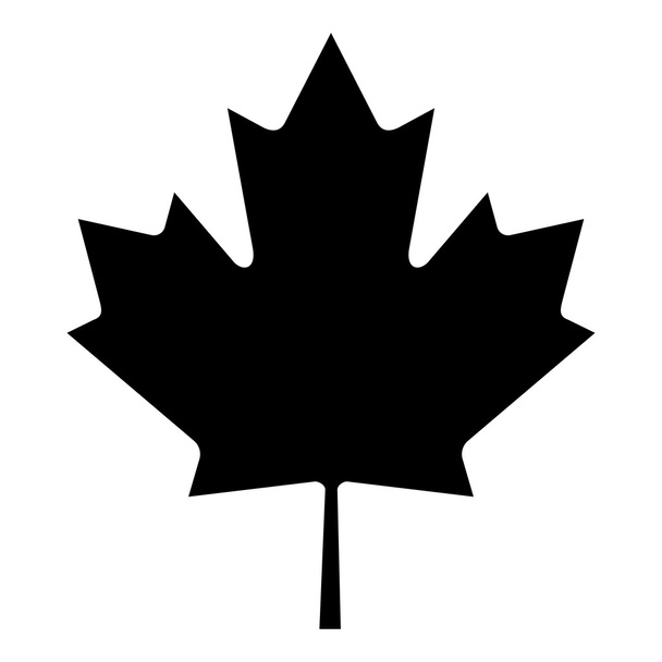 Maple Leaf Isolated - Photo, Image