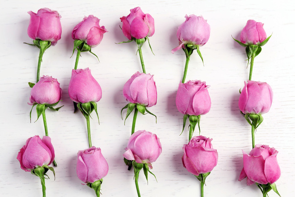 Beautiful pink roses  - Фото, изображение
