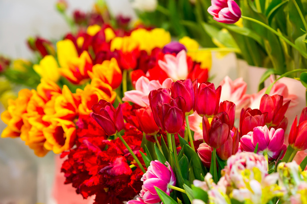 Fresh beautiful tulips  - Foto, afbeelding