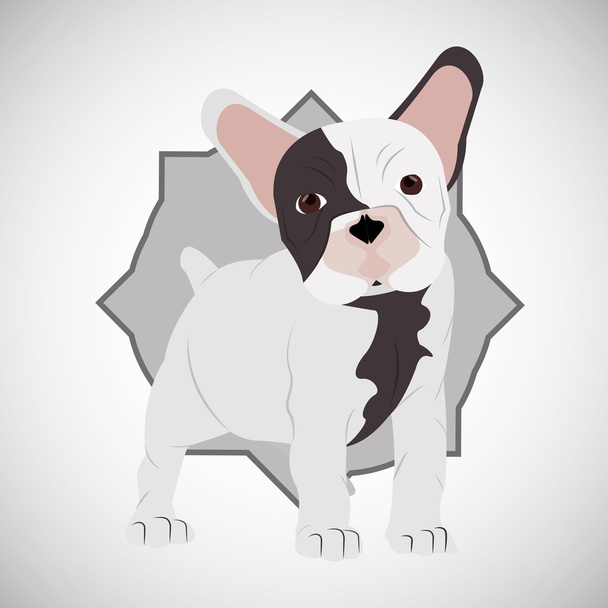 Desenho animal. Ícone de cão de touro francês. Ilustração isolada, vetor
 - Vetor, Imagem