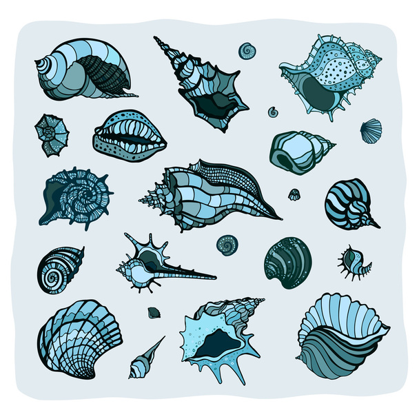 Colección de conchas marinas
 - Vector, Imagen