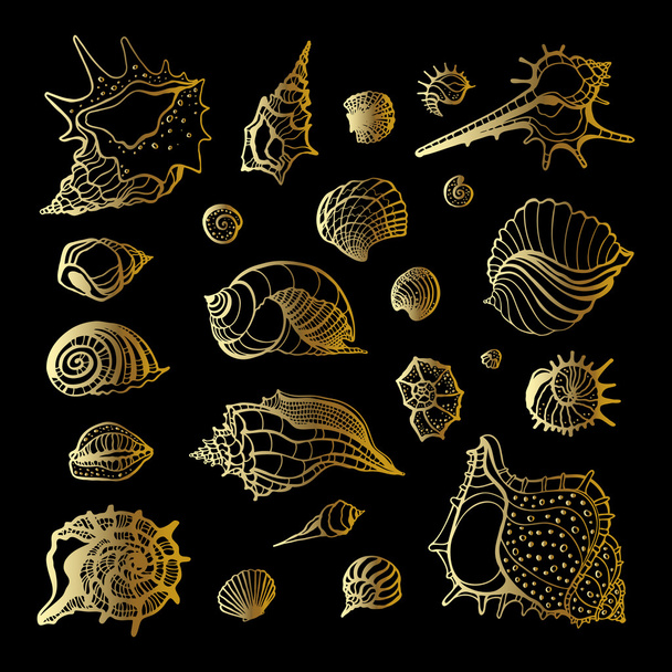 Gouden zee shell. Collectie van schelpen - Vector, afbeelding