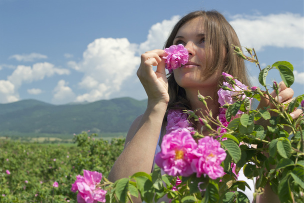 Hermosa chica oliendo una rosa en un campo de rosas
 - Foto, imagen
