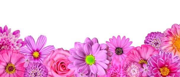 επιλογή διαφόρων ροζ λευκά λουλούδια στο κάτω σειρά απομονωθεί - Φωτογραφία, εικόνα