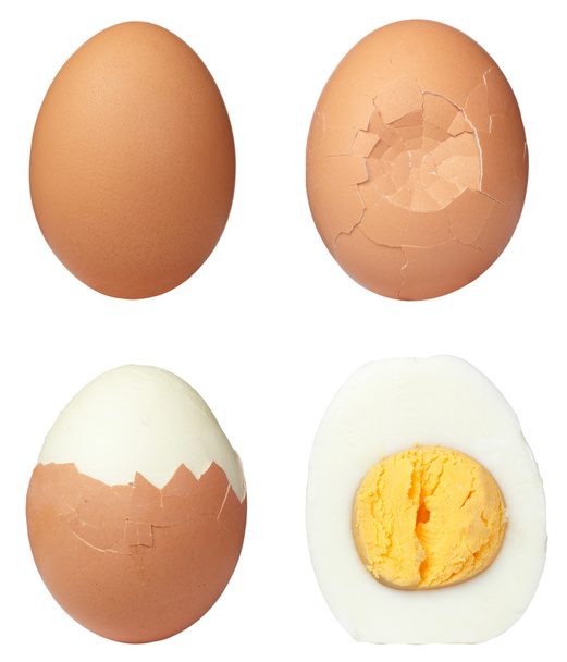 Close up of egg - Photo, Image