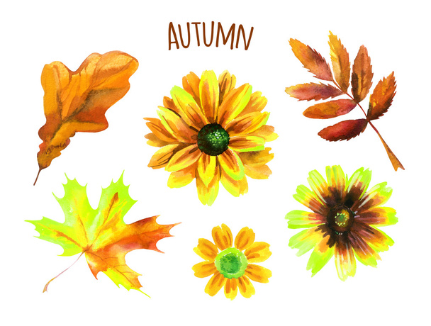Acuarela otoño conjunto de hojas y flores
 - Foto, imagen