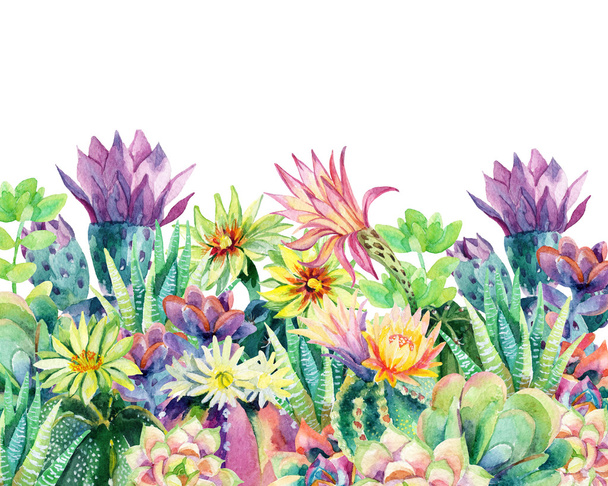 Watercolor blooming cactus background - Zdjęcie, obraz
