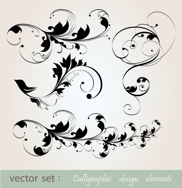 Vector set: calligraphic design floral elements - Vector, imagen