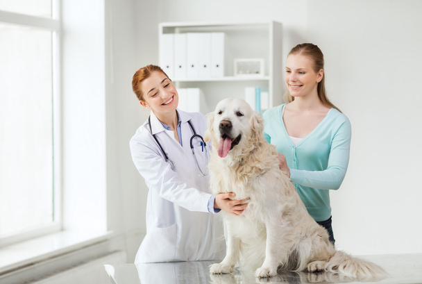happy woman with dog and doctor at vet clinic - Foto, Bild