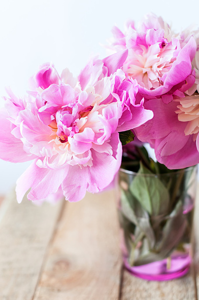peonías de mayo rosa
 - Foto, Imagen
