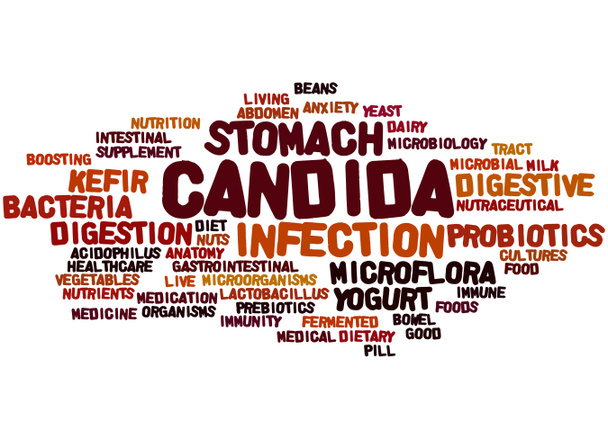 Candida, word cloud concept - Photo, Image
