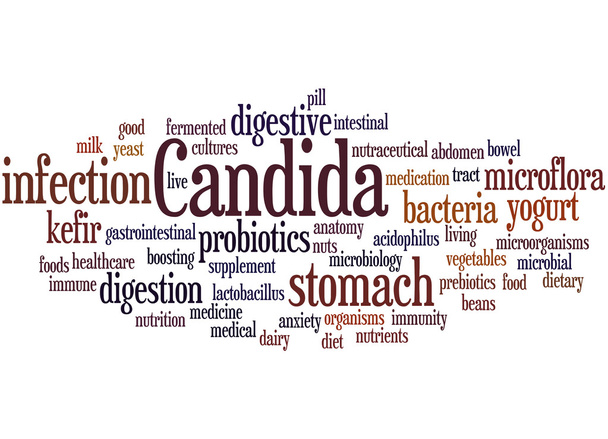 Candida, word cloud concept 4 - Photo, Image