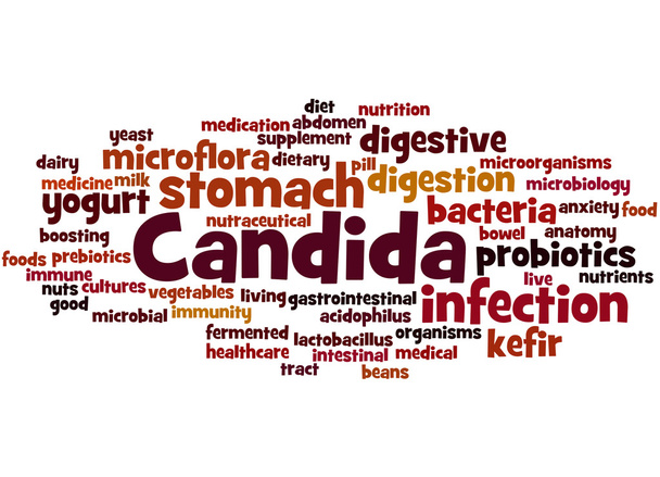 Candida, word cloud concept 8 - Foto, afbeelding