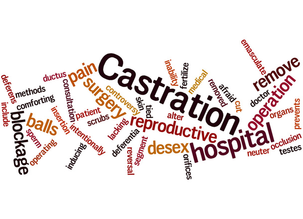 Castration, word cloud concept 2 - Photo, Image