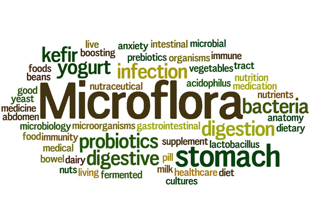 Mikroflora, Wort Wolke Konzept 3 - Foto, Bild