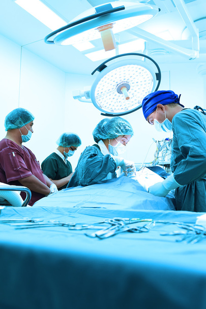 group of veterinarian surgery in operation room  - Φωτογραφία, εικόνα