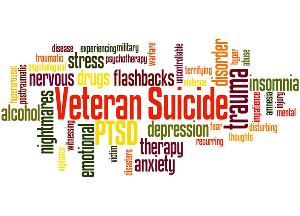 Veteran Suicide, word cloud concept - Photo, Image