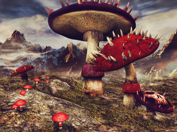 Fantasie landschap met champignons - Foto, afbeelding