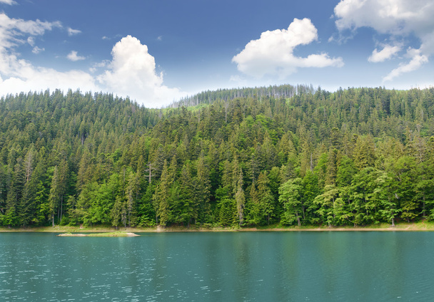Mountain lake in the woods  - Foto, Imagen