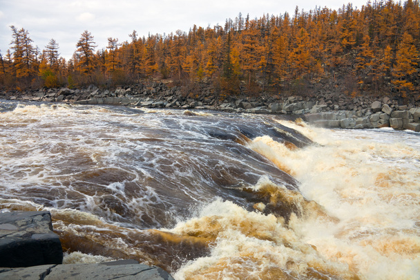 River  Moiero and Siberian taiga in the autumn - Fotó, kép