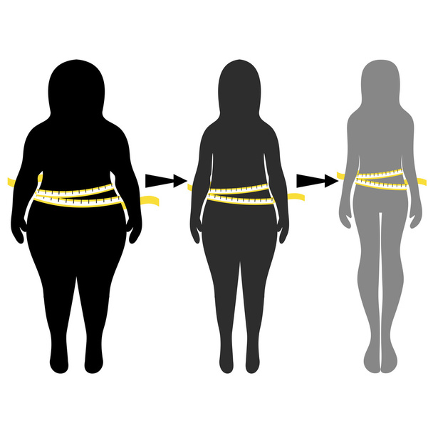 Silhouetten von Frauen dick und dünn. Vektorabbildung, Hand d - Vektor, Bild