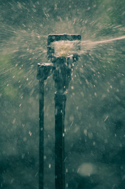 Aspersor microjet para riego por agua, India
 - Foto, Imagen