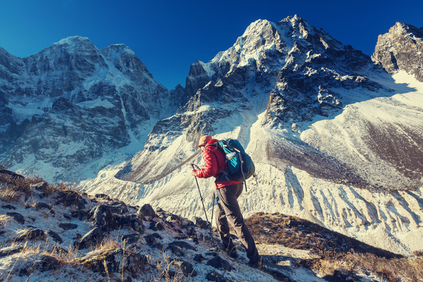 Himalaya dağlarında Hiking adam - Fotoğraf, Görsel