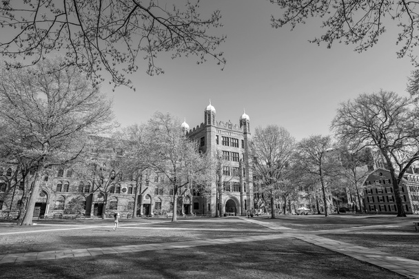 Yale univerzitní budovy  - Fotografie, Obrázek