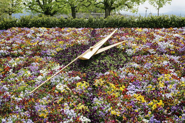 Berühmte Blumenuhr, Wahrzeichen von Genf, Schweiz - Foto, Bild