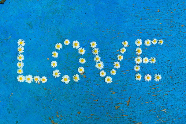 Word papatya çiçekleri mavi arka plan üzerinde yazılı aşk - Fotoğraf, Görsel