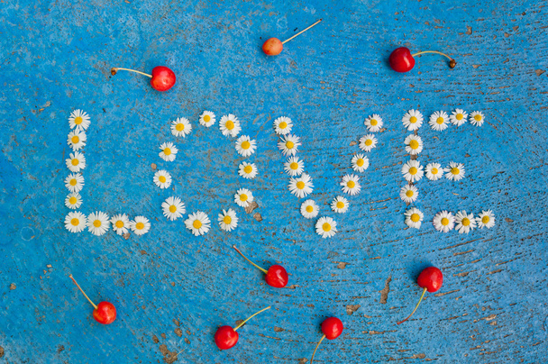 Word papatya çiçekleri mavi arka plan üzerinde yazılı aşk - Fotoğraf, Görsel