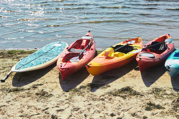 Kayaks in many colours on a beach - Photo, Image