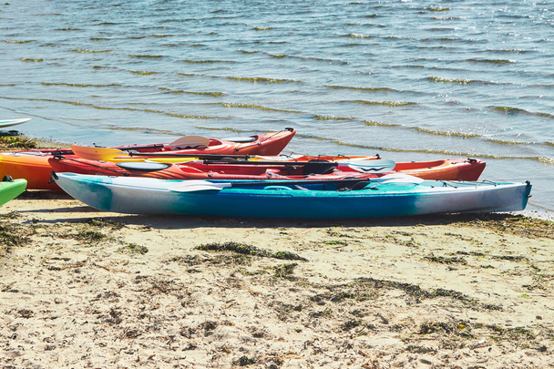 Kayaks dans de nombreuses couleurs sur une plage
  - Photo, image